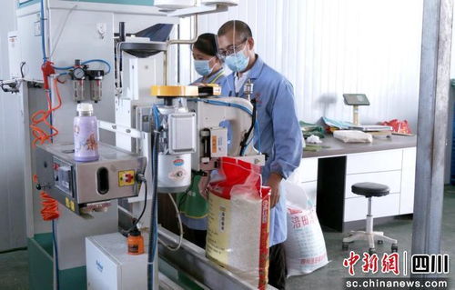 自动化设备赋能 广元朝天企业如何借力提升产能抢占市场先机